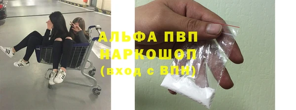 твердый Алзамай
