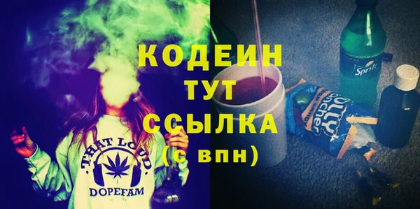 дживик Абаза