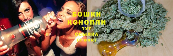 дживик Абаза