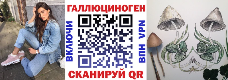 Псилоцибиновые грибы Magic Shrooms  купить наркотик  Татарск 